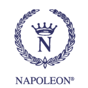Napoleon Italy